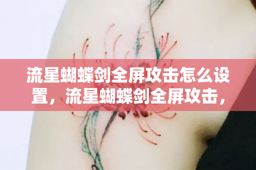 流星蝴蝶剑全屏攻击怎么设置，流星蝴蝶剑全屏攻击，策略与技巧的深度解析