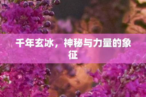 千年玄冰，神秘与力量的象征