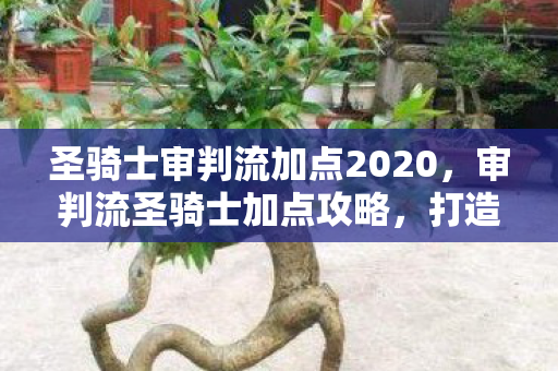 圣骑士审判流加点2020，审判流圣骑士加点攻略，打造最强圣骑士