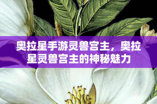 奥拉星手游灵兽宫主，奥拉星灵兽宫主的神秘魅力