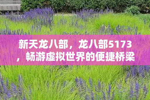 新天龙八部，龙八部5173，畅游虚拟世界的便捷桥梁