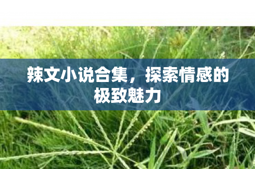 辣文小说合集，探索情感的极致魅力