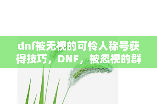 dnf被无视的可怜人称号获得技巧，DNF，被忽视的群体，他们的声音为何被淹没？