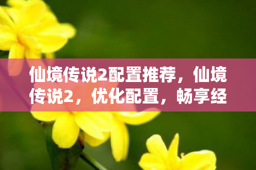 仙境传说2配置推荐，仙境传说2，优化配置，畅享经典游戏