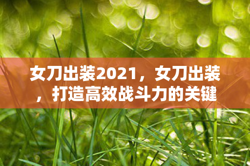 女刀出装2021，女刀出装，打造高效战斗力的关键