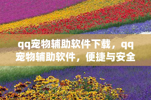 qq宠物辅助软件下载，qq宠物辅助软件，便捷与安全的平衡点