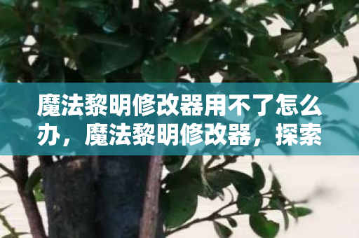 魔法黎明修改器用不了怎么办，魔法黎明修改器，探索游戏世界的无限可能