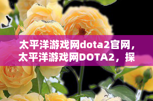 太平洋游戏网dota2官网，太平洋游戏网DOTA2，探索官方与社区服务器的魅力