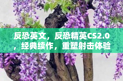 反恐英文,反恐精英CS2.0,经典续作,重塑射击体验 反恐英文,反恐精英CS2.0,经典续作,重塑射击体验