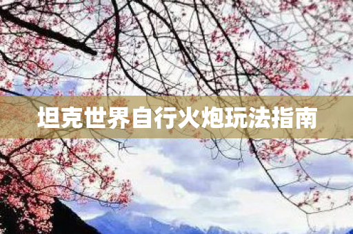 坦克世界自行火炮玩法指南