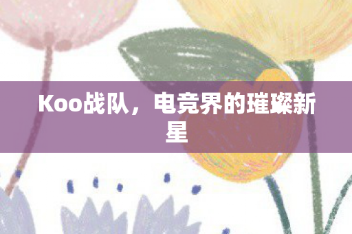 Koo战队，电竞界的璀璨新星