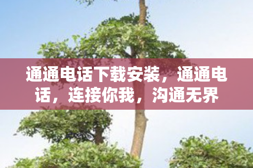 通通电话下载安装，通通电话，连接你我，沟通无界