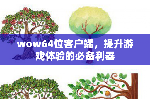 wow64位客户端，提升游戏体验的必备利器