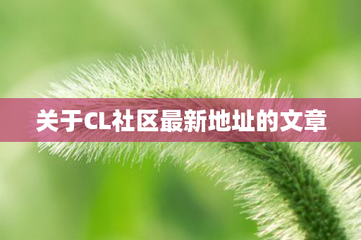 关于CL社区最新地址的文章