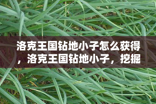 洛克王国钻地小子怎么获得，洛克王国钻地小子，挖掘王国的奇妙探险