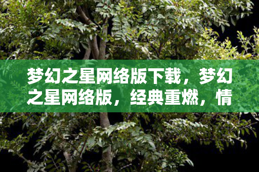 梦幻之星网络版下载,梦幻之星网络版,经典重燃,情怀再现 梦幻之星网络版下载,梦幻之星网络版,经典重燃,情怀再现