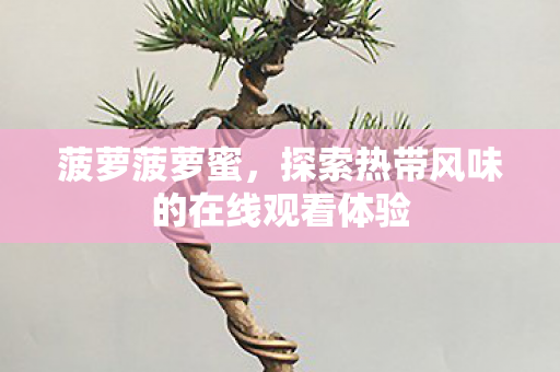 菠萝菠萝蜜，探索热带风味的在线观看体验