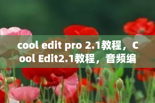 cool edit pro 2.1教程，Cool Edit2.1教程，音频编辑的必备技能