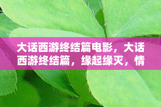 大话西游终结篇电影,大话西游终结篇,缘起缘灭,情深缘浅 大话西游终结篇电影,大话西游终结篇,缘起缘灭,情深缘浅