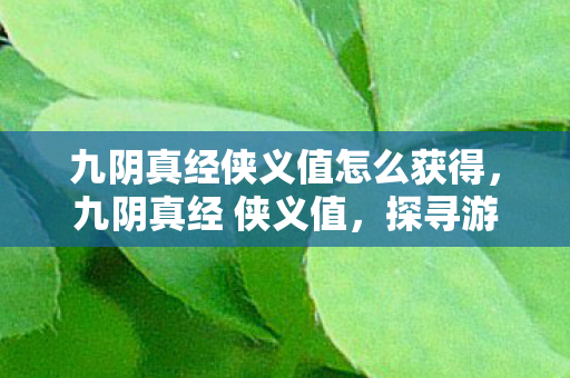 九阴真经侠义值怎么获得，九阴真经 侠义值，探寻游戏中的道德之光