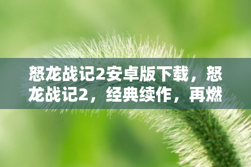 怒龙战记2安卓版下载，怒龙战记2，经典续作，再燃战火