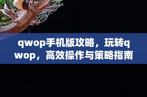 qwop手机版攻略，玩转qwop，高效操作与策略指南