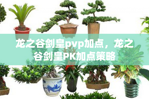 龙之谷剑皇pvp加点，龙之谷剑皇PK加点策略