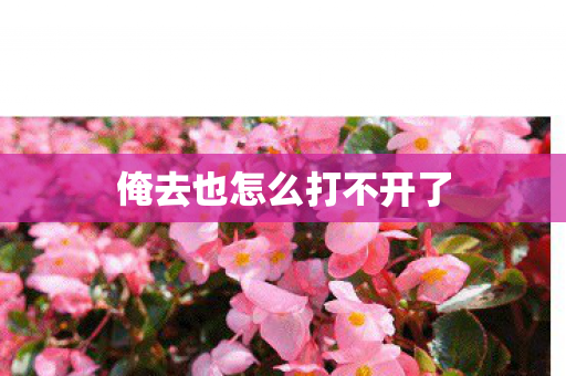 俺去也怎么打不开了