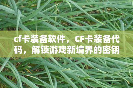 cf卡装备软件，CF卡装备代码，解锁游戏新境界的密钥