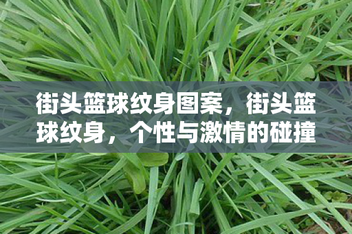 街头篮球纹身图案，街头篮球纹身，个性与激情的碰撞