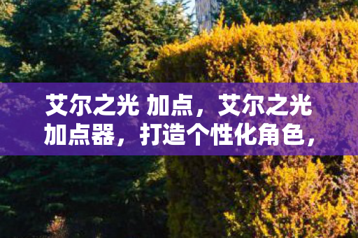 艾尔之光 加点，艾尔之光加点器，打造个性化角色，提升游戏体验