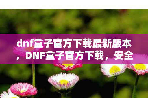 dnf盒子官方下载最新版本，DNF盒子官方下载，安全、便捷的游戏体验
