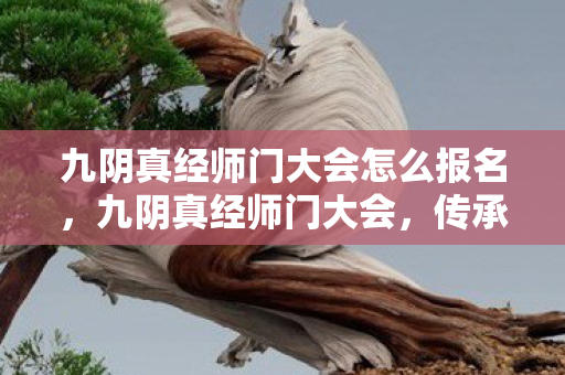 九阴真经师门大会怎么报名，九阴真经师门大会，传承与创新的武林盛宴