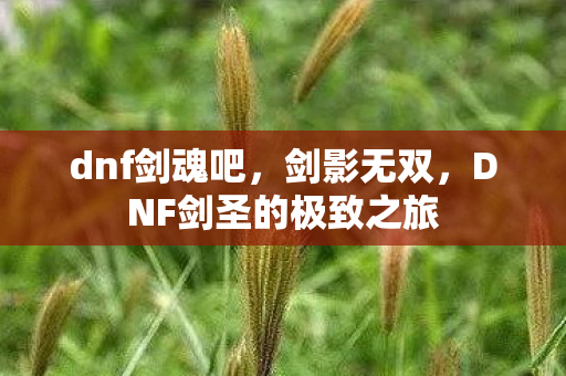 dnf剑魂吧，剑影无双，DNF剑圣的极致之旅