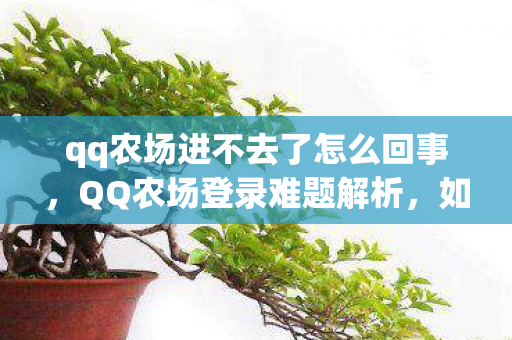 qq农场进不去了怎么回事，QQ农场登录难题解析，如何顺利进入你的绿色田园