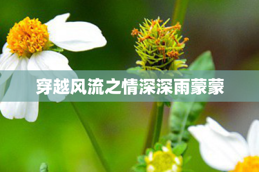 穿越风流之情深深雨蒙蒙