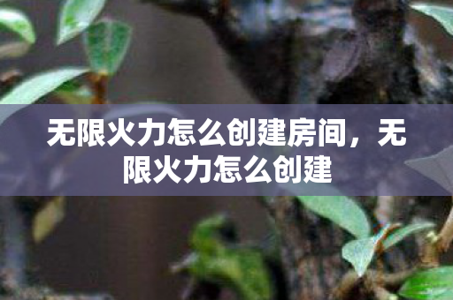 无限火力怎么创建房间，无限火力怎么创建