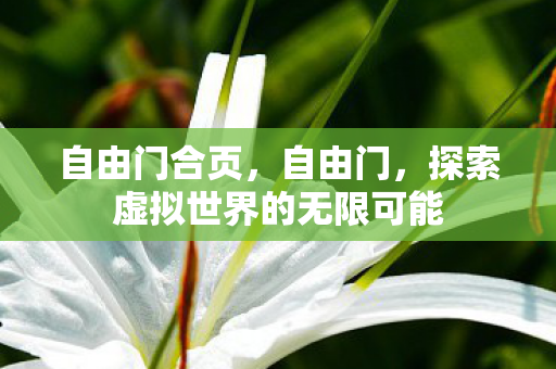 自由门合页,自由门,探索虚拟世界的无限可能 自由门合页,自由门,探索虚拟世界的无限可能