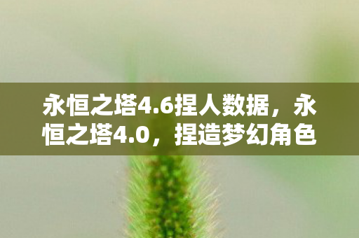 永恒之塔4.6捏人数据，永恒之塔4.0，捏造梦幻角色，探索无限可能