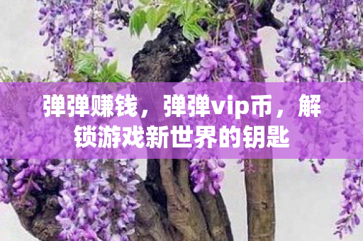 弹弹赚钱，弹弹vip币，解锁游戏新世界的钥匙