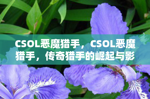 CSOL恶魔猎手，CSOL恶魔猎手，传奇猎手的崛起与影响