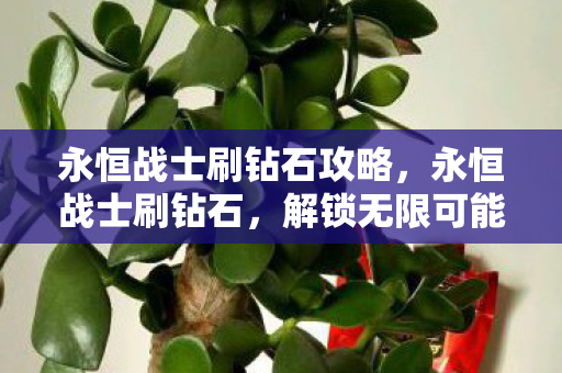 永恒战士刷钻石攻略，永恒战士刷钻石，解锁无限可能的虚拟财富