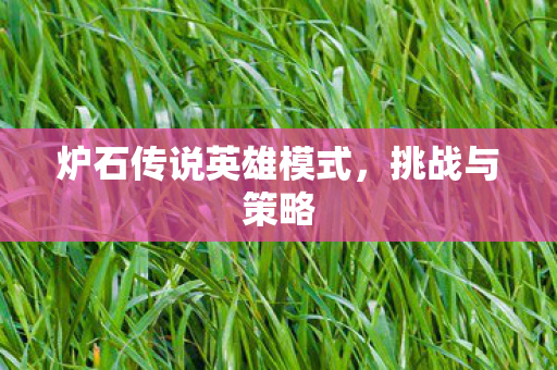 炉石传说英雄模式，挑战与策略