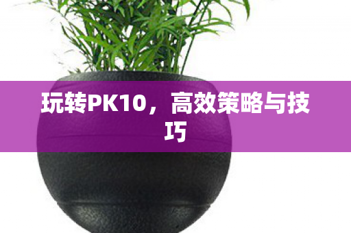 玩转PK10，高效策略与技巧