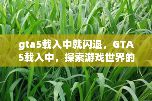 gta5载入中就闪退,GTA5载入中,探索游戏世界的无限可能 gta5载入中就闪退,GTA5载入中,探索游戏世界的无限可能