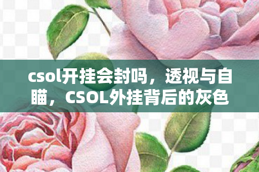 csol开挂会封吗，透视与自瞄，CSOL外挂背后的灰色世界
