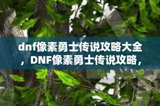 dnf像素勇士传说攻略大全，DNF像素勇士传说攻略，打造你的专属传奇