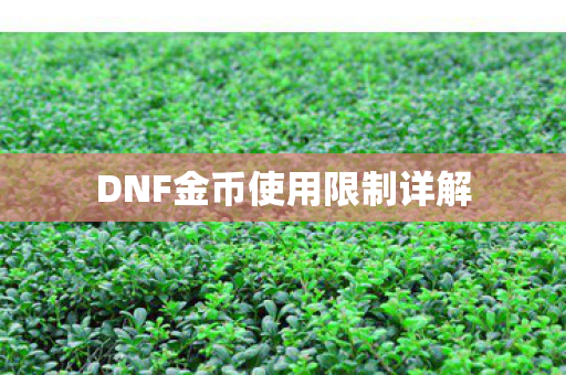DNF金币使用限制详解