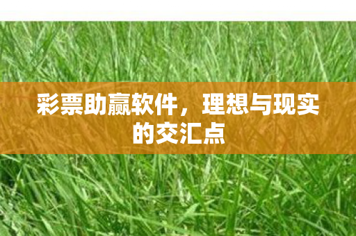 彩票助赢软件，理想与现实的交汇点