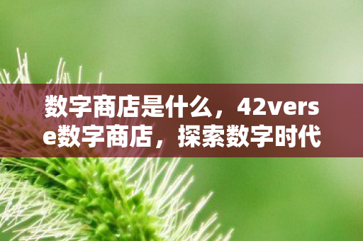 数字商店是什么，42verse数字商店，探索数字时代的购物新体验
